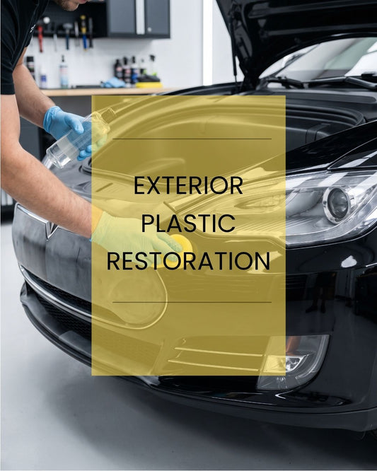 Exterior Plastic Restoration