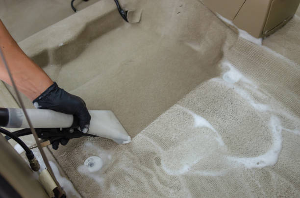 W5| UPHOLSTERY SHAMPOO